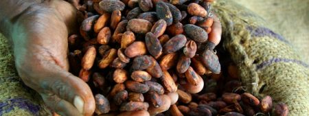 Trading Online Cacao investire, quotazione e prezzo